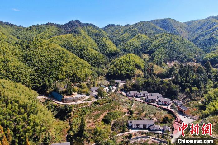 航拍江西井岡山市神山村，青山環(huán)繞，風景秀美。　劉力鑫 攝