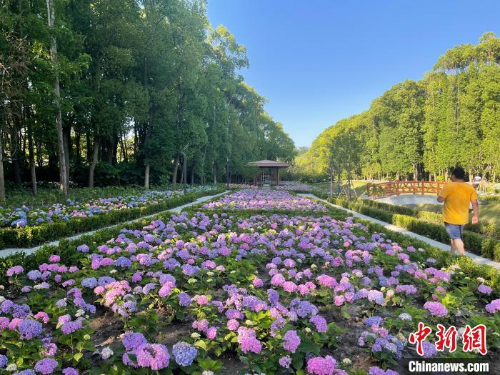 納民意、匯民智上海努力讓“公園城市”建設(shè)真正“合民心”