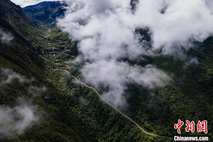 西藏山南勒布溝景區(qū)的盤山公路被云霧環(huán)繞?！〗w波 攝