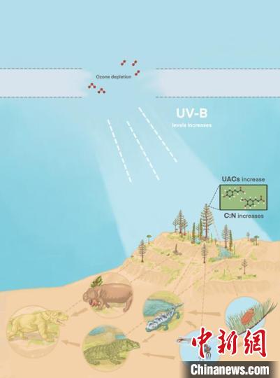 臭氧層破壞引起的紫外線輻射增加對陸地食物鏈的影響?！∧瞎潘?供圖