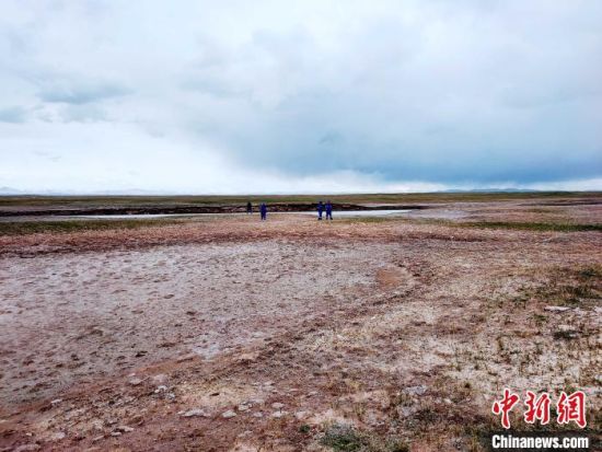 圖為救援力量在青海省西部搜救失聯(lián)的江蘇南京某大學女生黃某某。海西州藍天應急救援中心 供圖