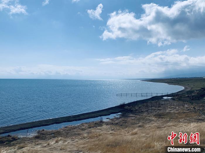 圖為青海湖畔。(資料圖) 張傲 攝