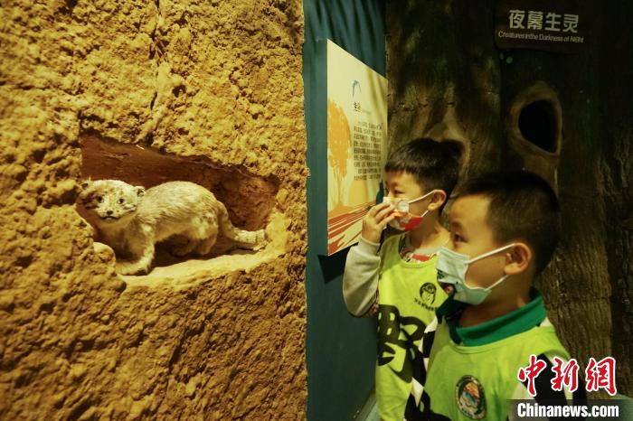 圖為小朋友在青海西寧湟水國家濕地公園科普館內參觀學習?！●R銘言 攝
