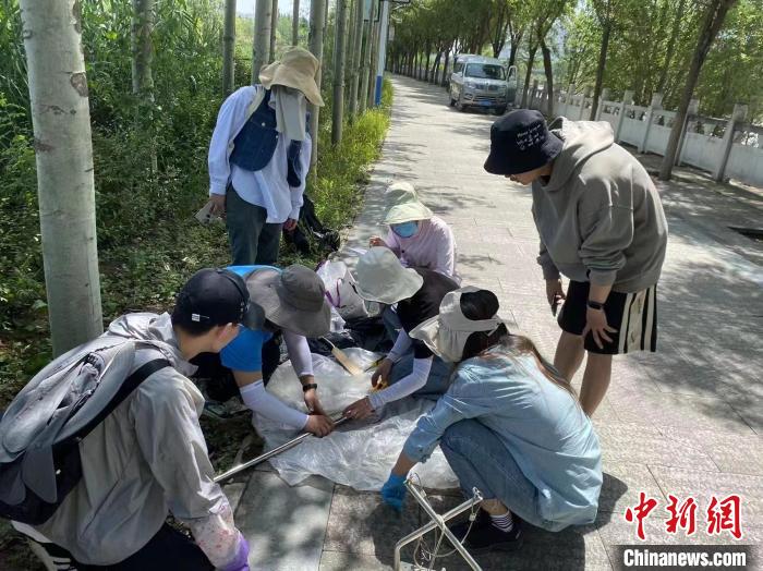 圖為科研人員正在進行監(jiān)測。　西寧湟水國家濕地公園供圖