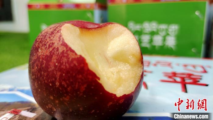 圖為通麥村特色甜心蘋(píng)果?！∝暽＠?攝