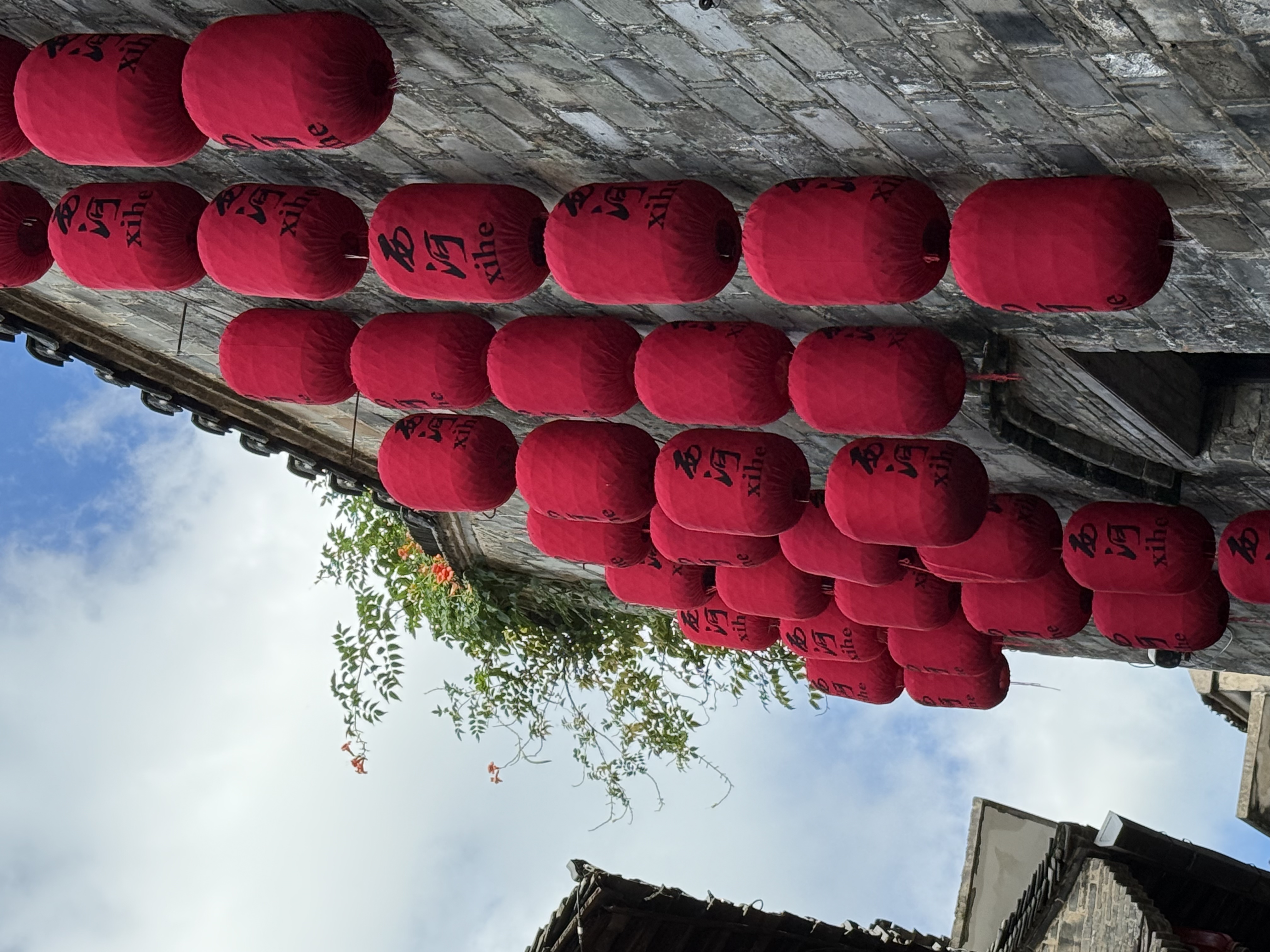 【2024打卡中國】外國網(wǎng)紅打卡蕪湖西河古鎮(zhèn) 品“江南水鄉(xiāng)”古韻長(組圖)