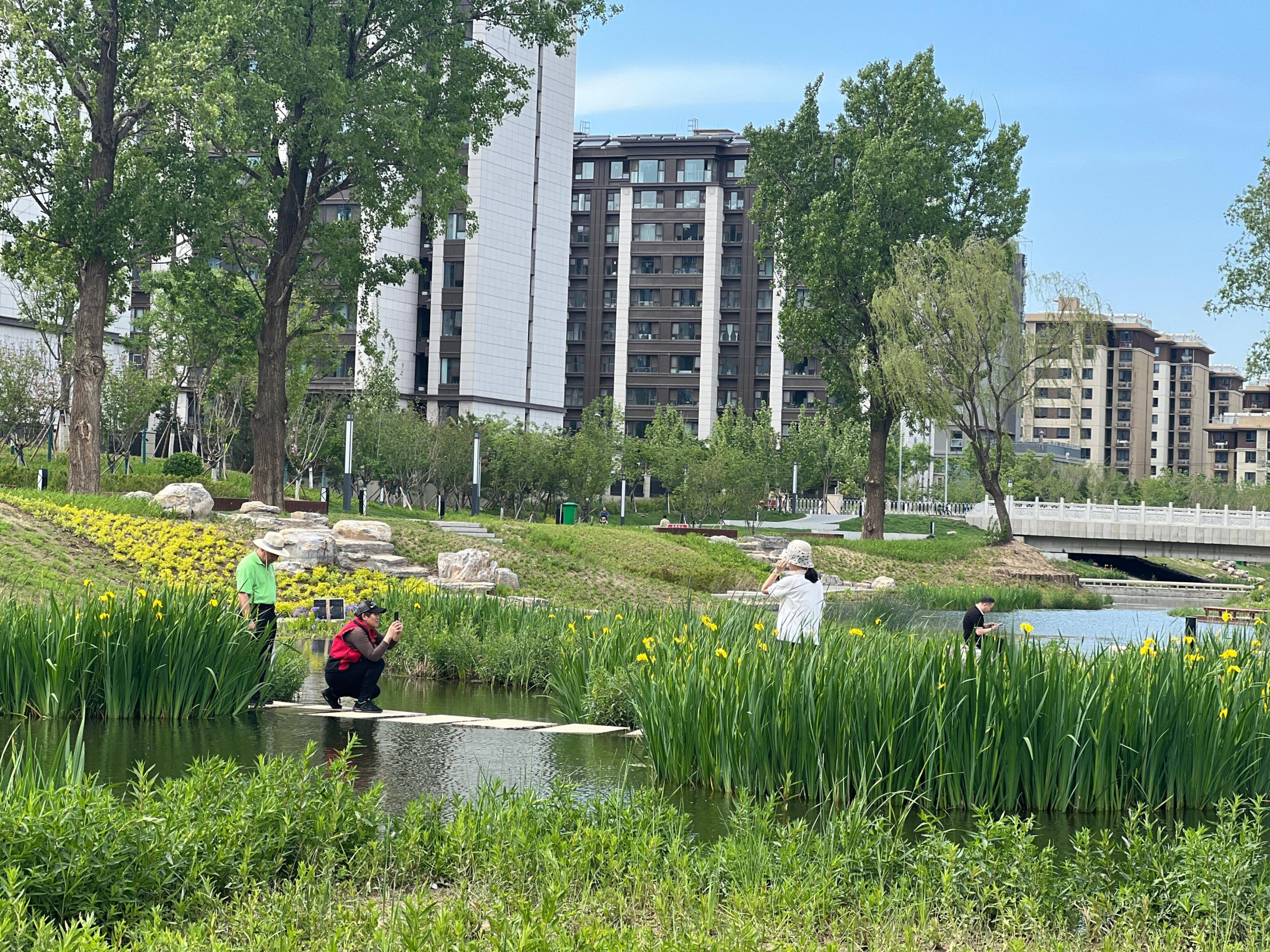 五一渠生態(tài)濱河公園內(nèi)，市民正在拍照留念。人民網(wǎng) 歐陽易佳攝