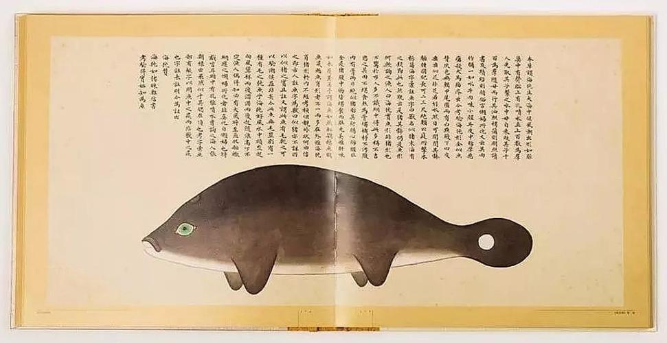 文化中國(guó)行 長(zhǎng)江之歌丨微笑的江豚，從四千年前“游”來(lái)