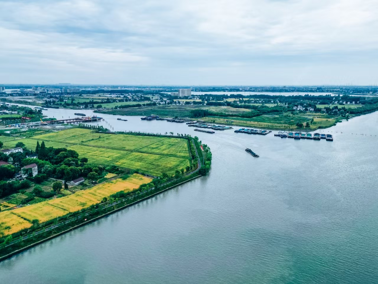 太浦河沿岸好風(fēng)光。吳橫軒攝
