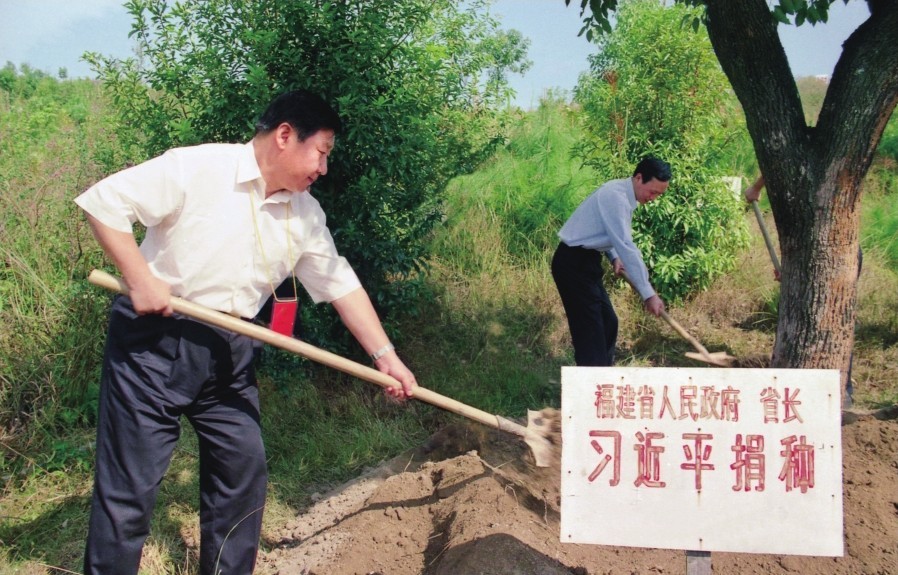 2001年10月，習近平在龍巖市長汀縣調研水土流失治理工作，在河田世紀生態(tài)園為樹培土。圖源：《習近平在福建（下）》