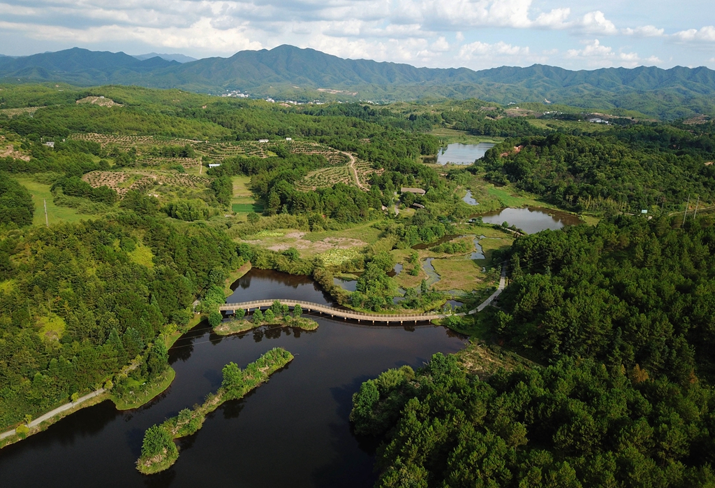 福建省龍巖市長汀縣的長汀汀江國家濕地公園景色（2020年7月28日攝，無人機照片）。新華社記者 魏培全 攝