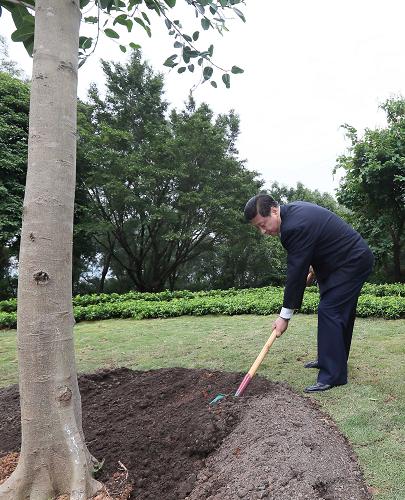 2012年12月7日至11日，習(xí)近平在廣東省考察工作。這是8日上午，習(xí)近平在深圳蓮花山公園種下一棵高山榕樹。新華社記者 蘭紅光 攝