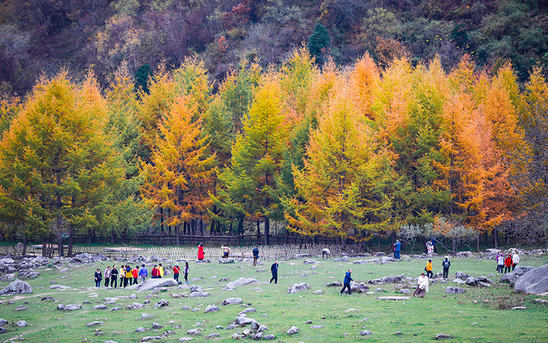 2023年10月27日，深秋時(shí)節(jié)的陜西秦嶺太子嶺漫山紅黃、色彩交織，進(jìn)入最佳觀賞期。