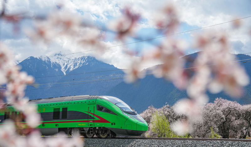 2025年4月2日，復(fù)興號(hào)列車穿行在拉林鐵路林芝段。