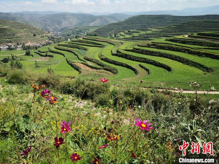 甘肅組建社會團(tuán)體智庫和能人聯(lián)手“架橋”助推醫(yī)藥健康產(chǎn)業(yè)