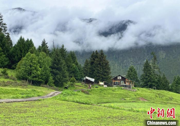 6月10日，魯朗小鎮(zhèn)高山牧場景區(qū)風(fēng)光?！∪轿木?攝