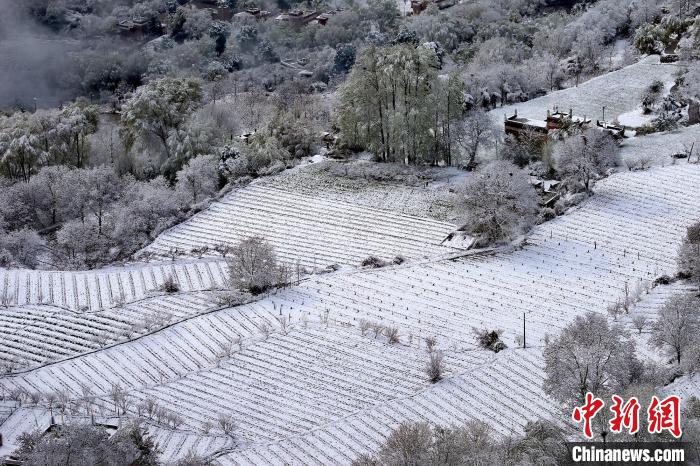 雪后的高山田間如畫?！±钣腊?攝