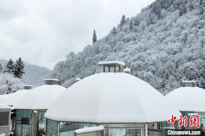 大熊貓國家公園王朗片區(qū)春雪如畫，宛若仙境?！×_春平 攝