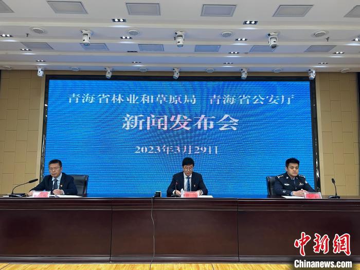 青海去年占用林地、草地準予許可件同比實現(xiàn)“雙減”