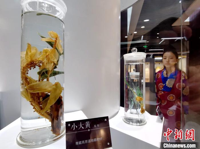 青海中藏醫(yī)藥發(fā)展提速：建設(shè)一批重點(diǎn)專科學(xué)科，推廣一批適宜技術(shù)
