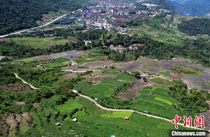 圖為西藏林芝市墨脫縣城附近的茶田。(無人機(jī)照片) 李林 攝