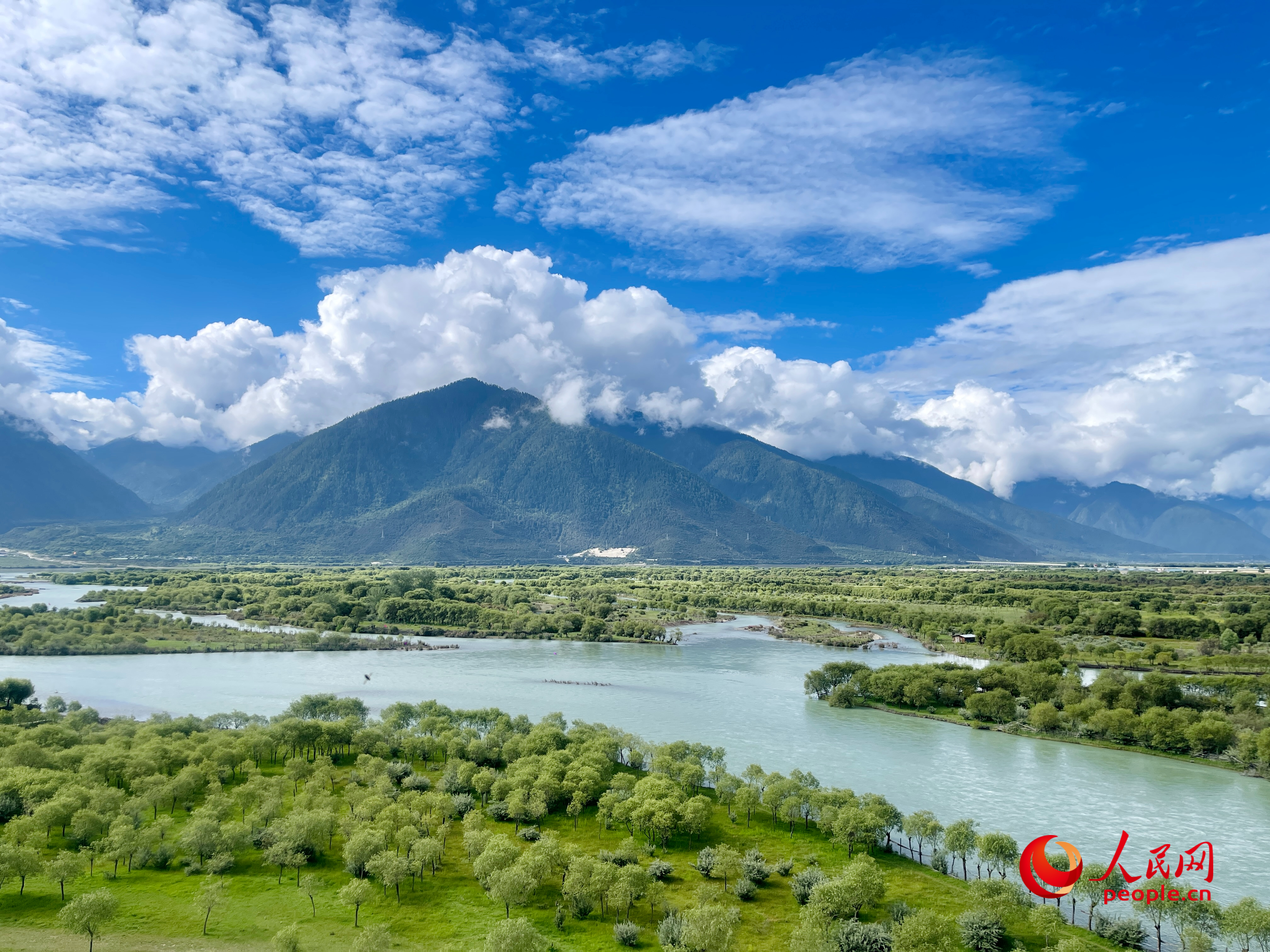 夏日的雅尼國家濕地公園生機(jī)盎然，如詩如畫。人民網(wǎng) 周靜圓攝