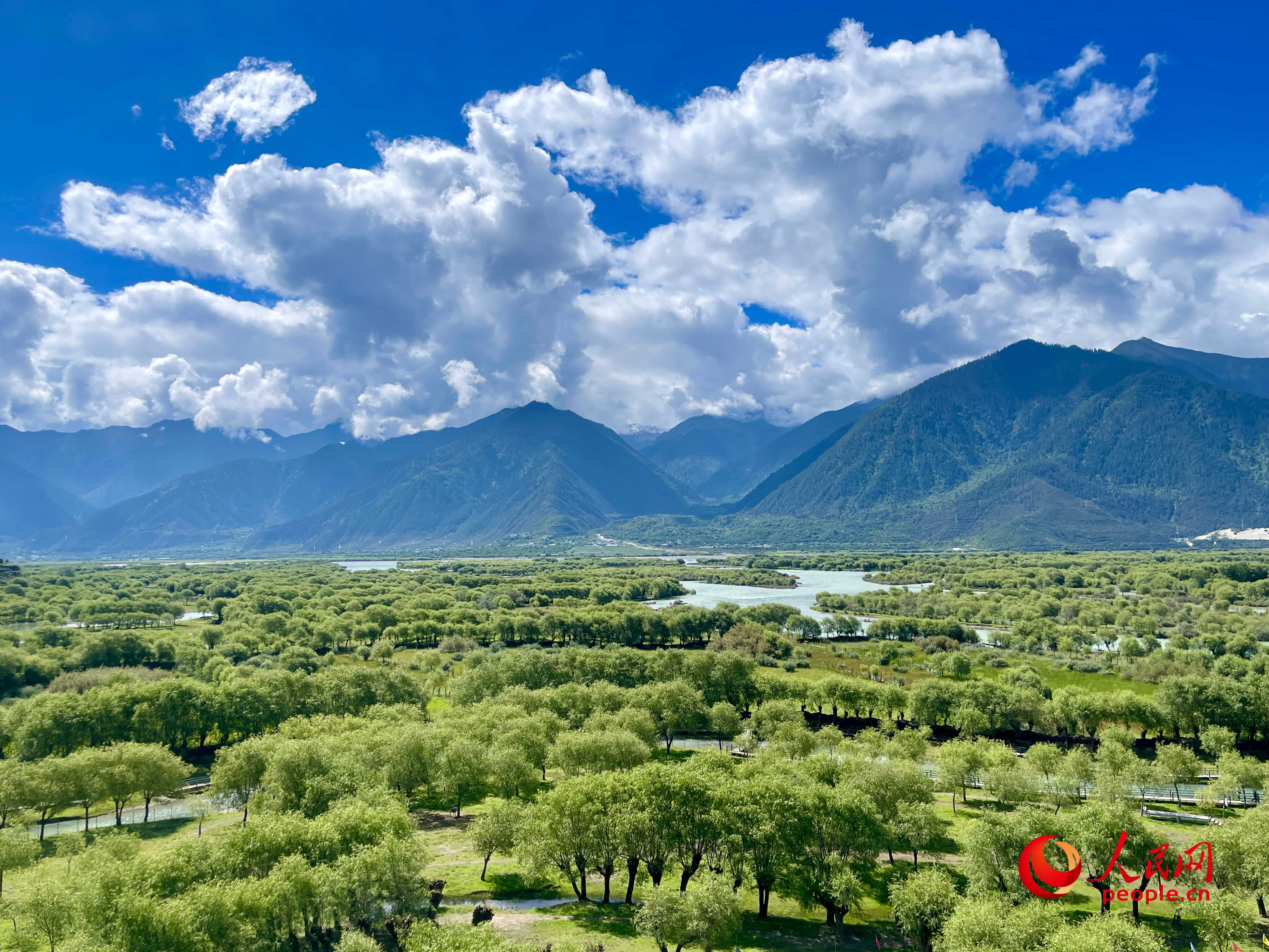 夏日的雅尼國家濕地公園生機(jī)盎然，如詩如畫。人民網(wǎng) 周靜圓攝