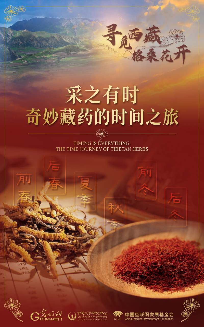 【尋覓西藏·格?；ㄩ_】采之有時(shí)：奇妙藏藥的時(shí)間之旅