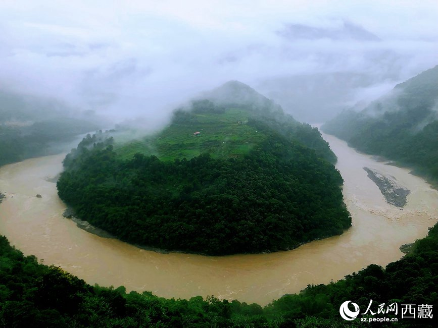 雅魯藏布江大峽谷蛇形拐彎處，山坡上種滿茶樹。