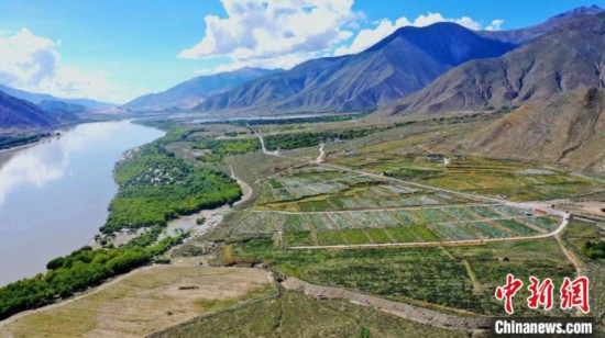 圖為桑日縣葡萄種植基地。　山南桑日縣委宣傳部提供