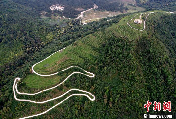 圖為西藏林芝市墨脫縣背崩鄉(xiāng)格林村山頂?shù)木坝^茶園。(無(wú)人機(jī)照片) 李林 攝