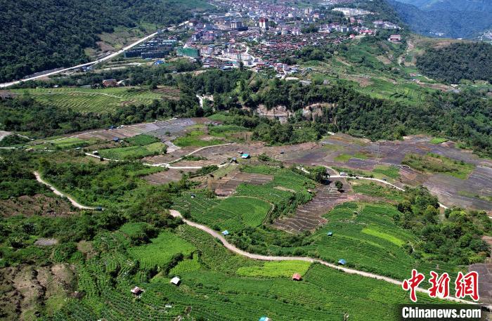 圖為西藏林芝市墨脫縣城附近的茶田。(無(wú)人機(jī)照片) 李林 攝