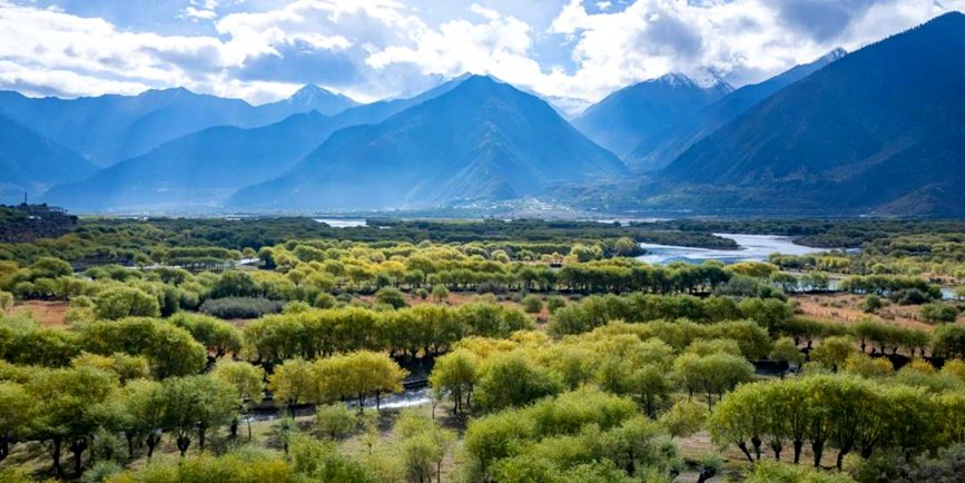 西藏:雅尼濕地秋日風光正好