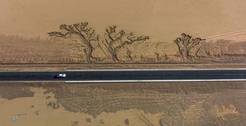 位于國道216沿線的“大地之樹”。邊巴多吉攝