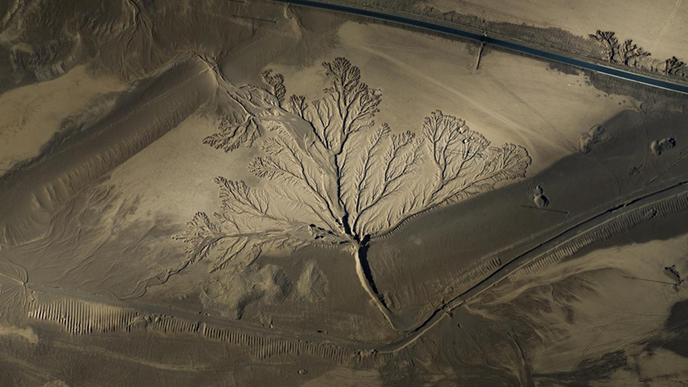 無人機(jī)視角下的西藏阿里地區(qū)改則縣“大地之樹”景觀。尼瑪多吉攝